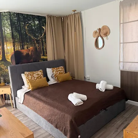 Luxury Studio1 In Friends * Bansko