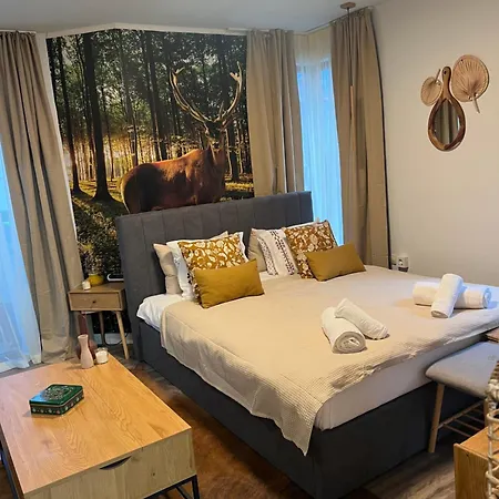 Luxury Studio1 In Friends Apartment *