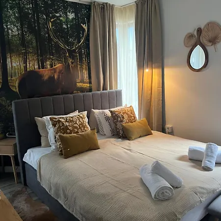 Apartment Luxury Studio1 In Friends Bansko