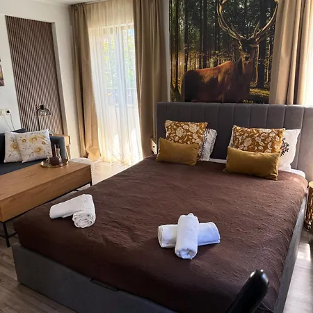 Luxury Studio1 In Friends Apartment