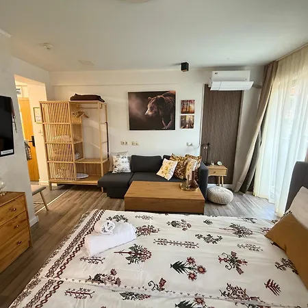 Apartment Luxury Studio1 In Friends