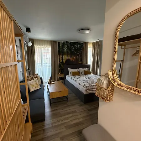 Luxury Studio1 In Friends * בנסקו