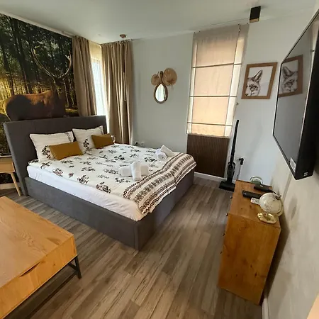 Luxury Studio1 In Friends דירה בנסקו