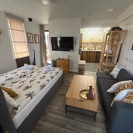 Apartment Luxury Studio1 In Friends Bansko