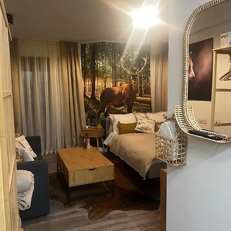 Luxury Studio1 In Friends